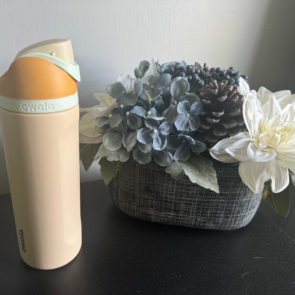 Owala FreeSip Insulated Stainless Steel Water Bottle Water in the Desert